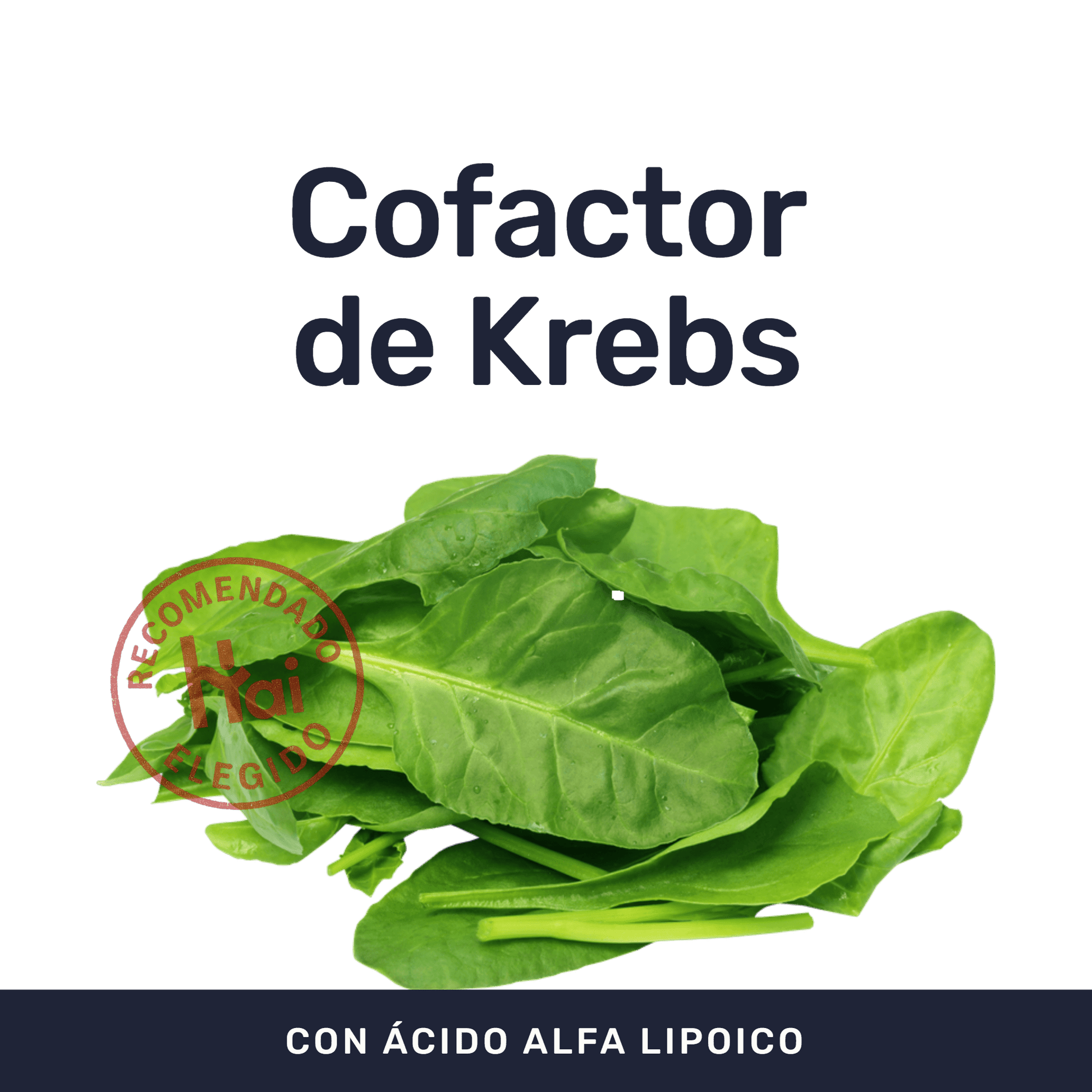 Ácido Alfa Lipoico 600 mg [60 Cápsulas] — imagen 2