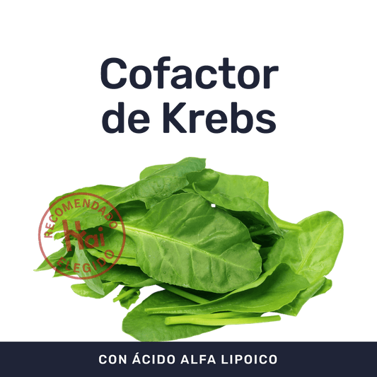 Ácido Alfa Lipoico 600 mg [60 Cápsulas] — imagen 2
