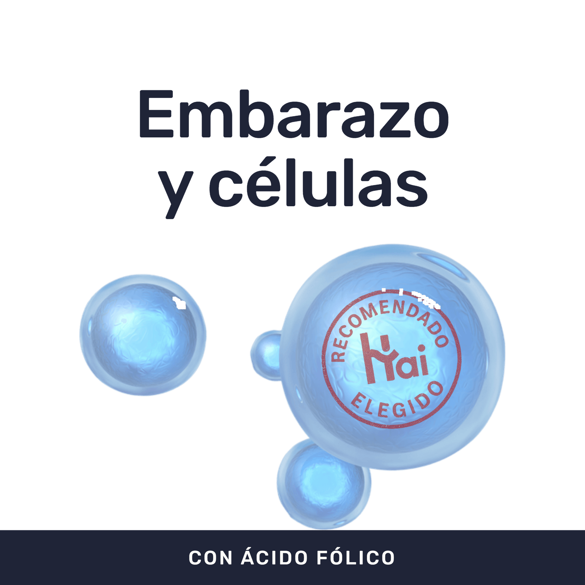 Ácido Fólico  [30 Cápsulas] — imagen 2