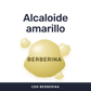 Berberina 500 mg [60 cápsulas] — imagen 2