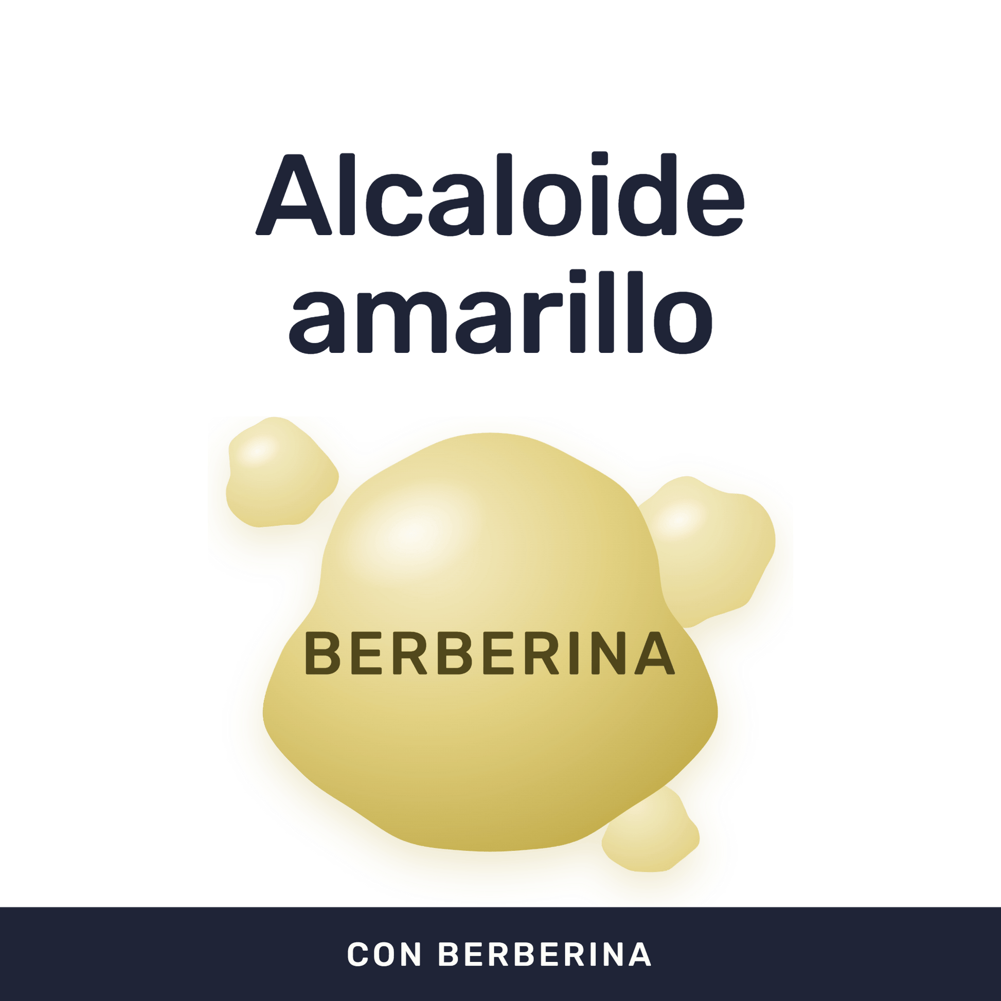 Berberina 500 mg [60 cápsulas] — imagen 2