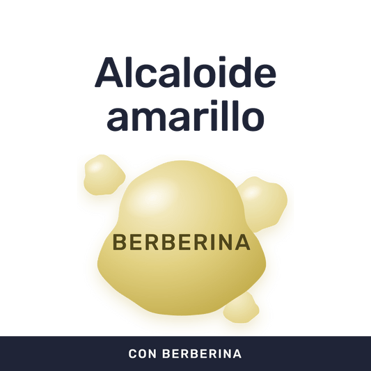 Berberina 500 mg [60 cápsulas] — imagen 2