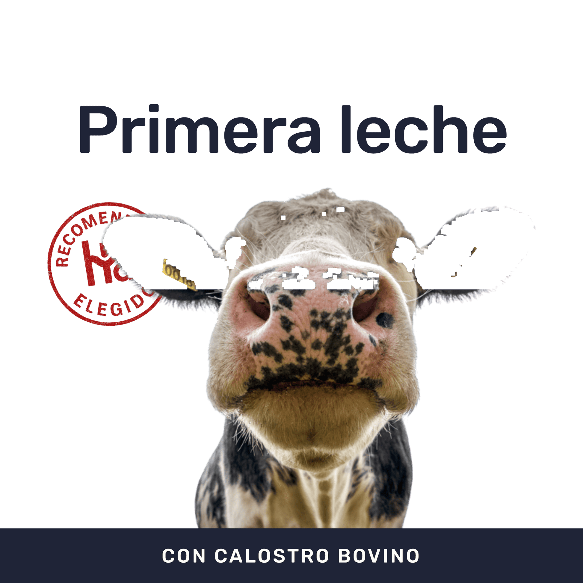 Calostrum Bovino 500mg [60 Cápsulas] — imagen 2
