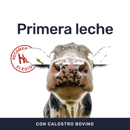 Calostrum Bovino 500mg [60 Cápsulas] — imagen 2