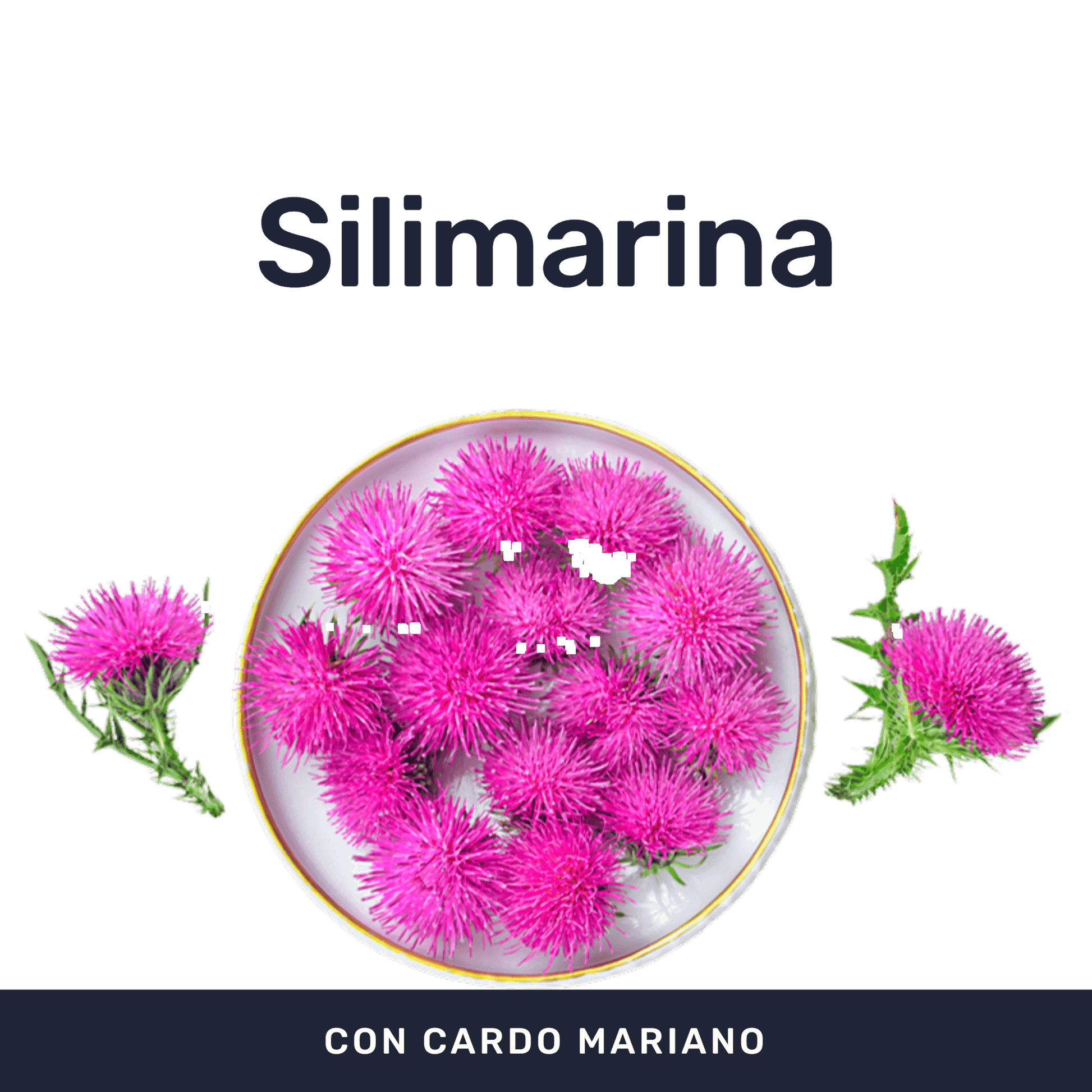 Cardo Plus 500mg [60 Cápsulas] — imagen 2