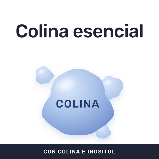 Colina + Inositol [60 Cápsulas] — imagen 2