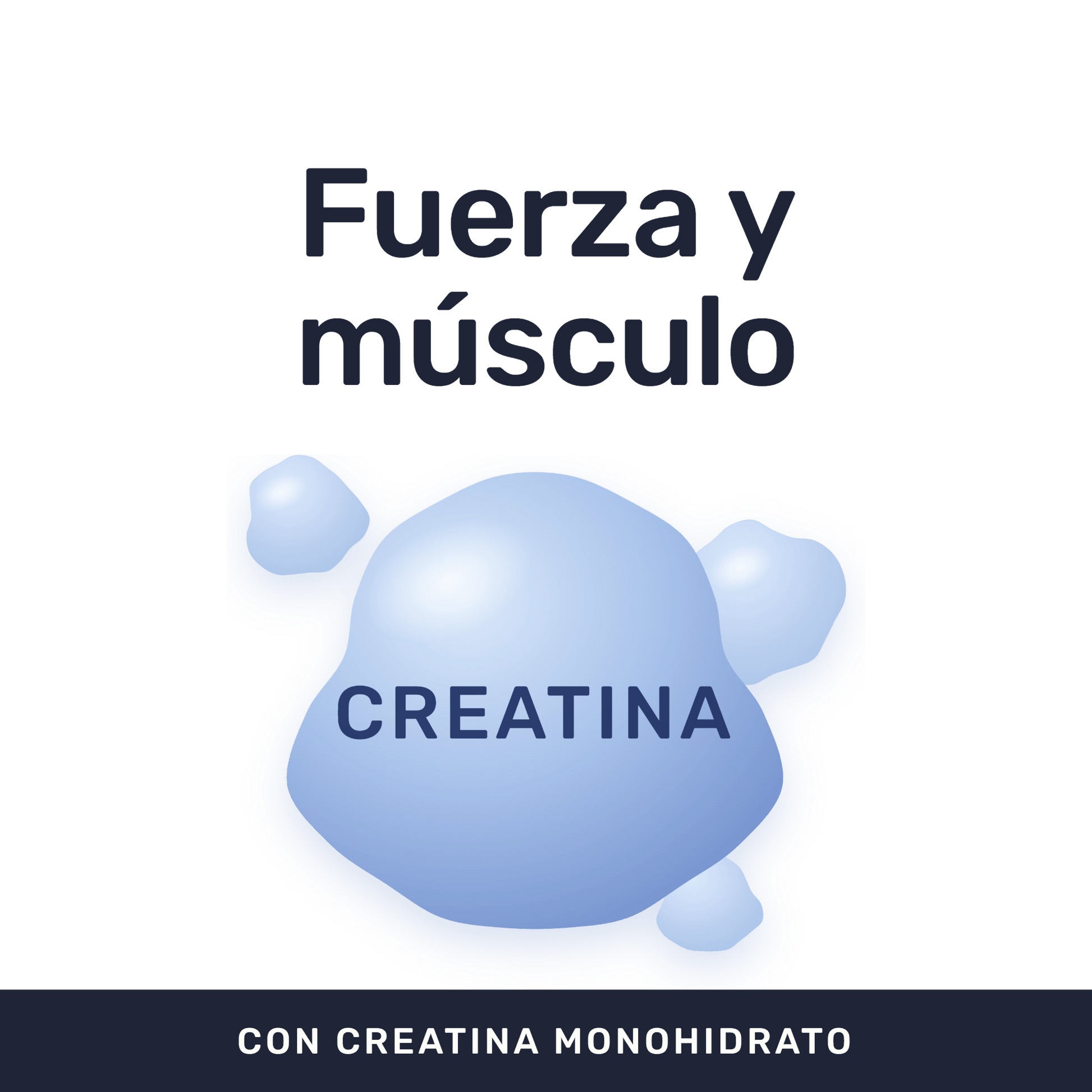Creatina Monohidrato Pura [300 Gr] — imagen 2