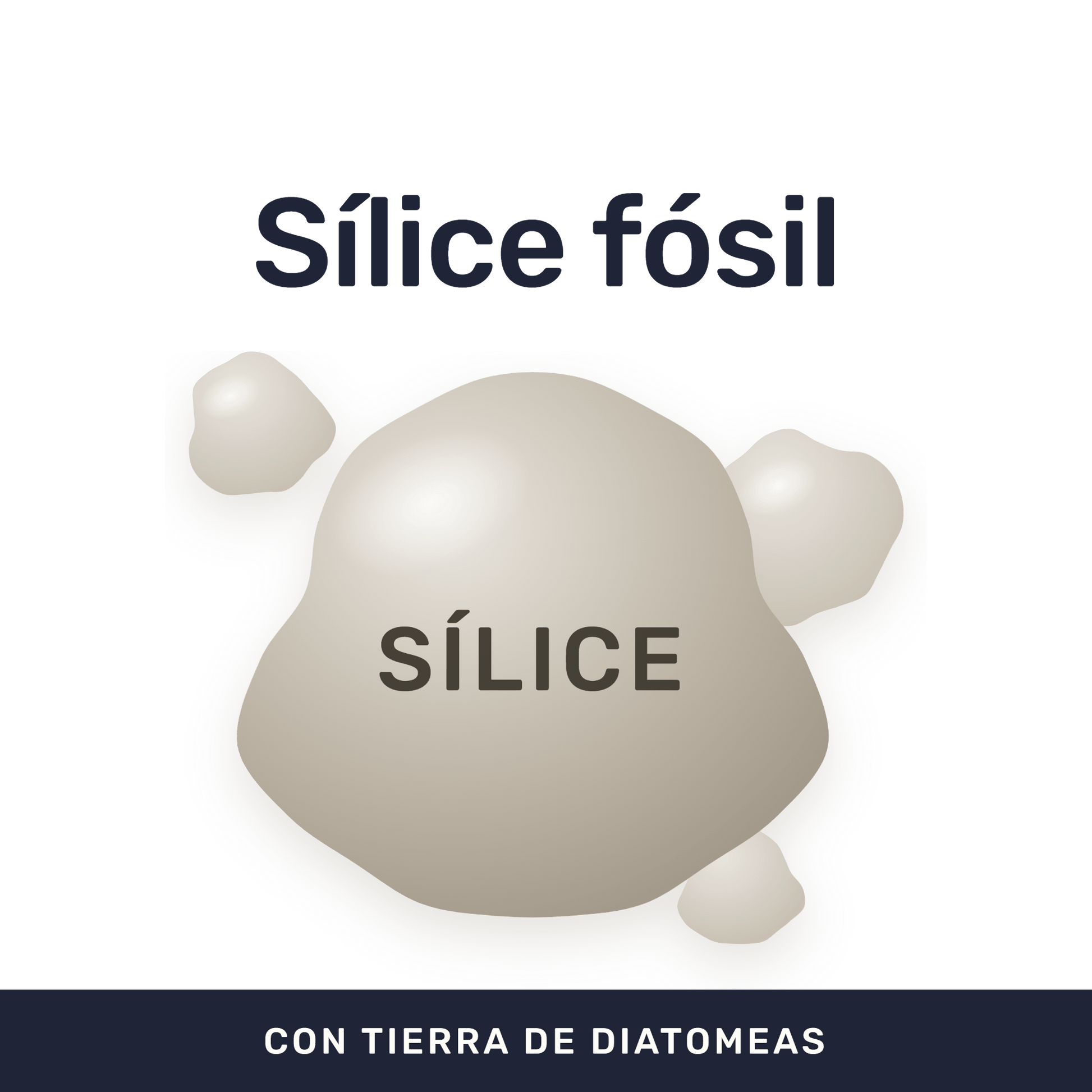 Diatomeas [90 Cápsulas] — imagen 2