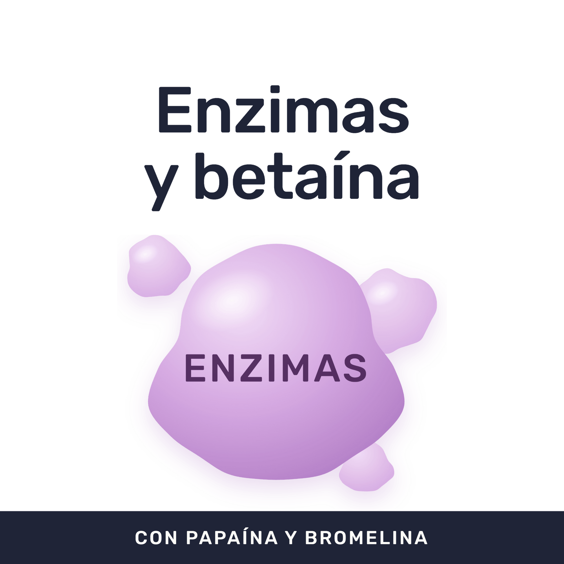 Enzimas Digestivas 500 mg [60 cápsulas] — imagen 2