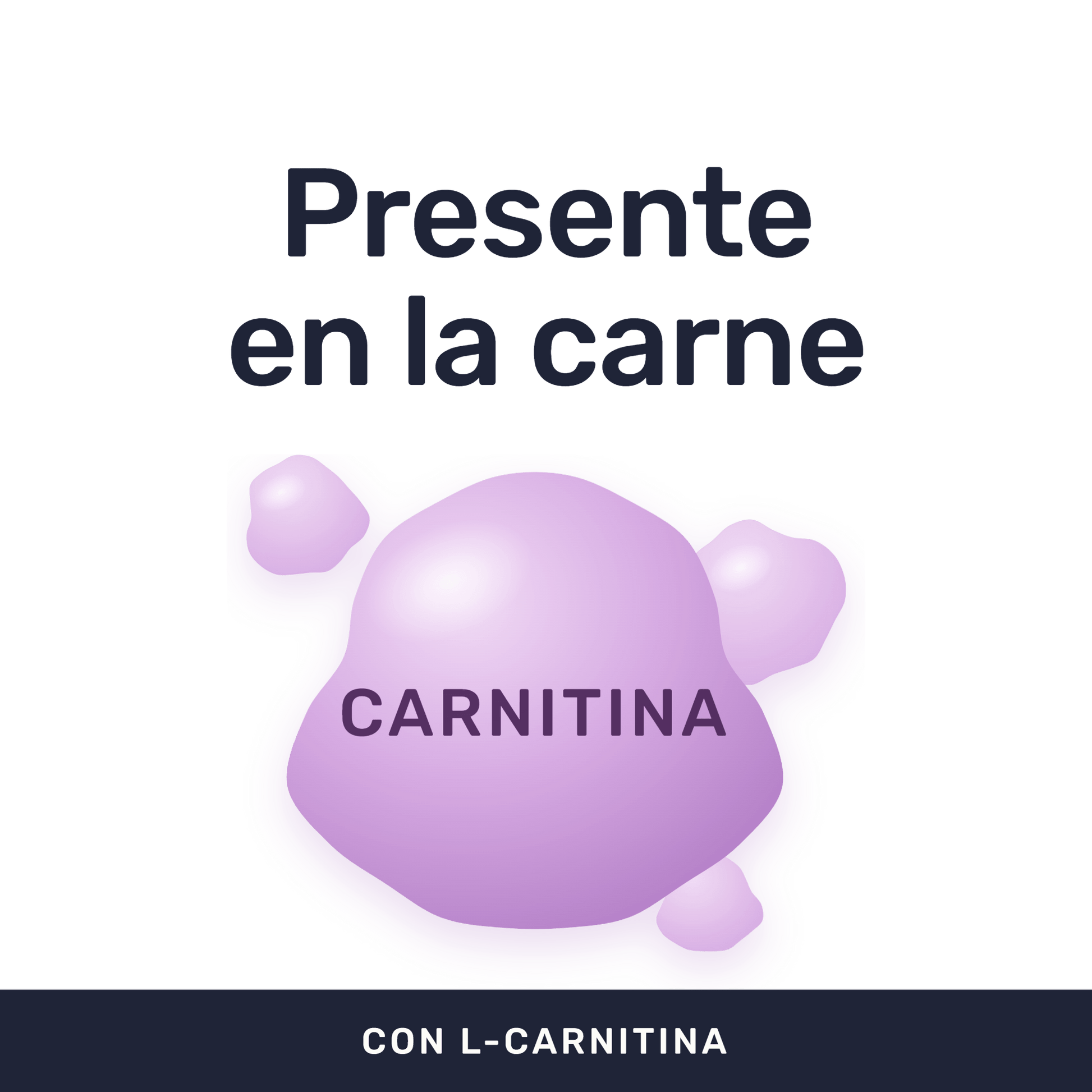 L-Carnitina 500 mg [90 cápsulas] — imagen 2