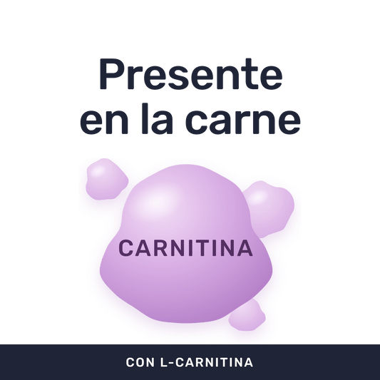 L-Carnitina 500mg [60 Cápsulas] — imagen 2
