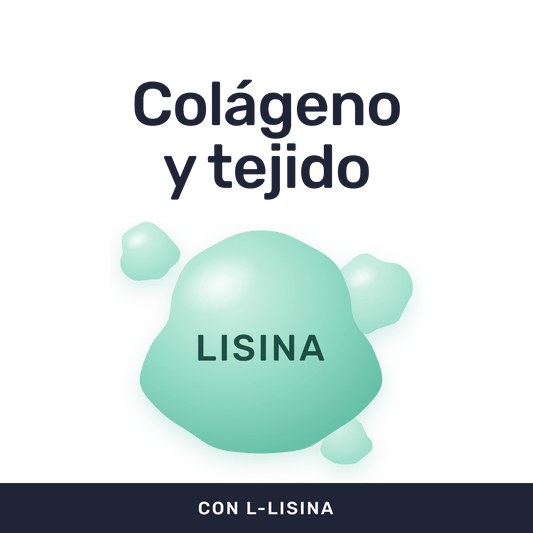 L-Lisina 500mg [100 Cápsulas] — imagen 2