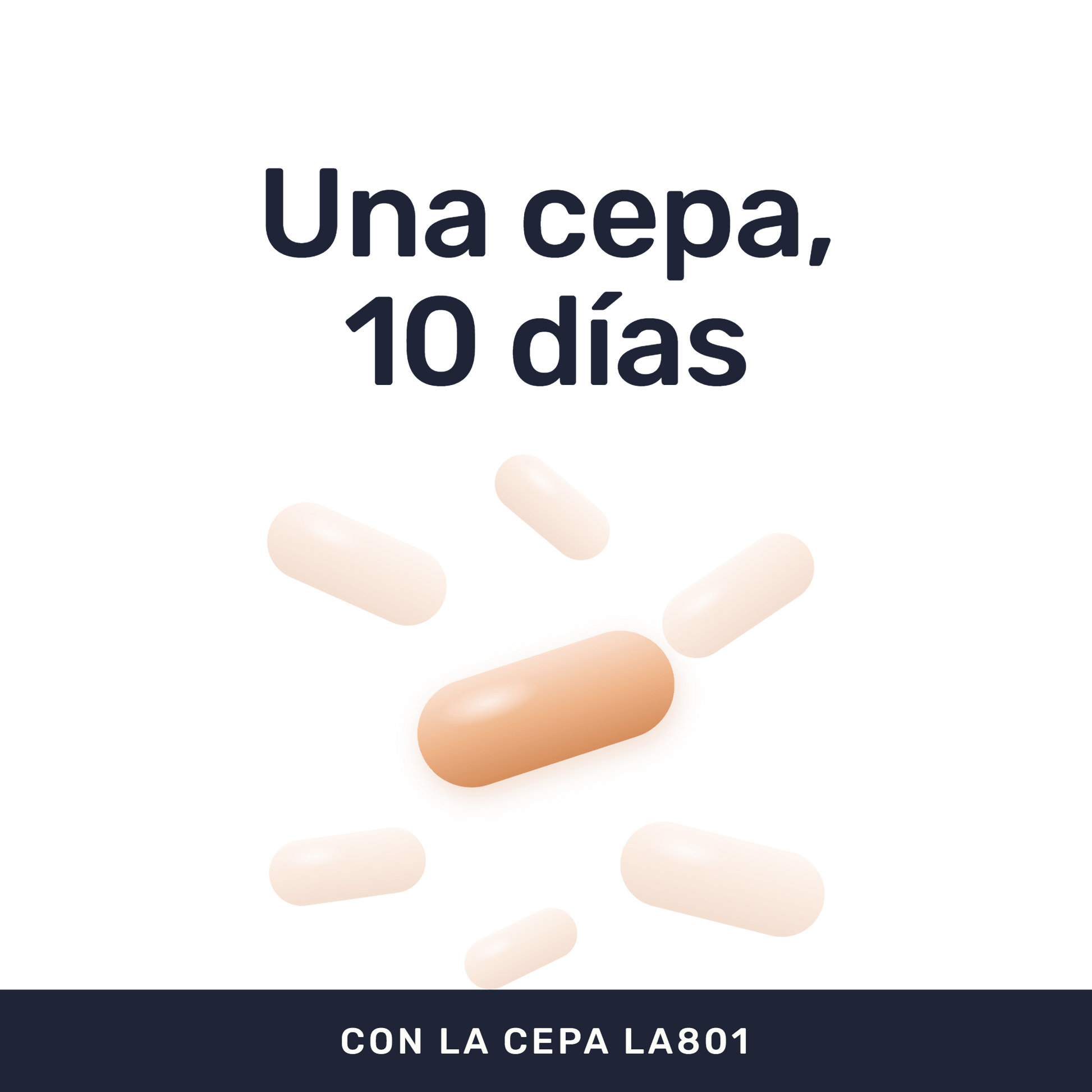 Lactibiane ATB [10 Cápsulas] — imagen 2
