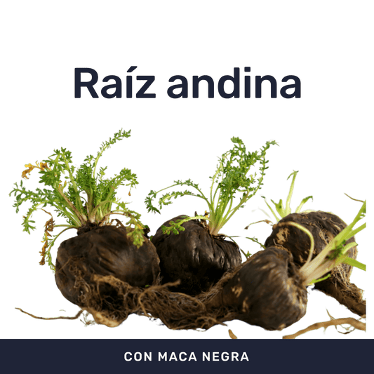 Maca Negra [90 Cápsulas] — imagen 2