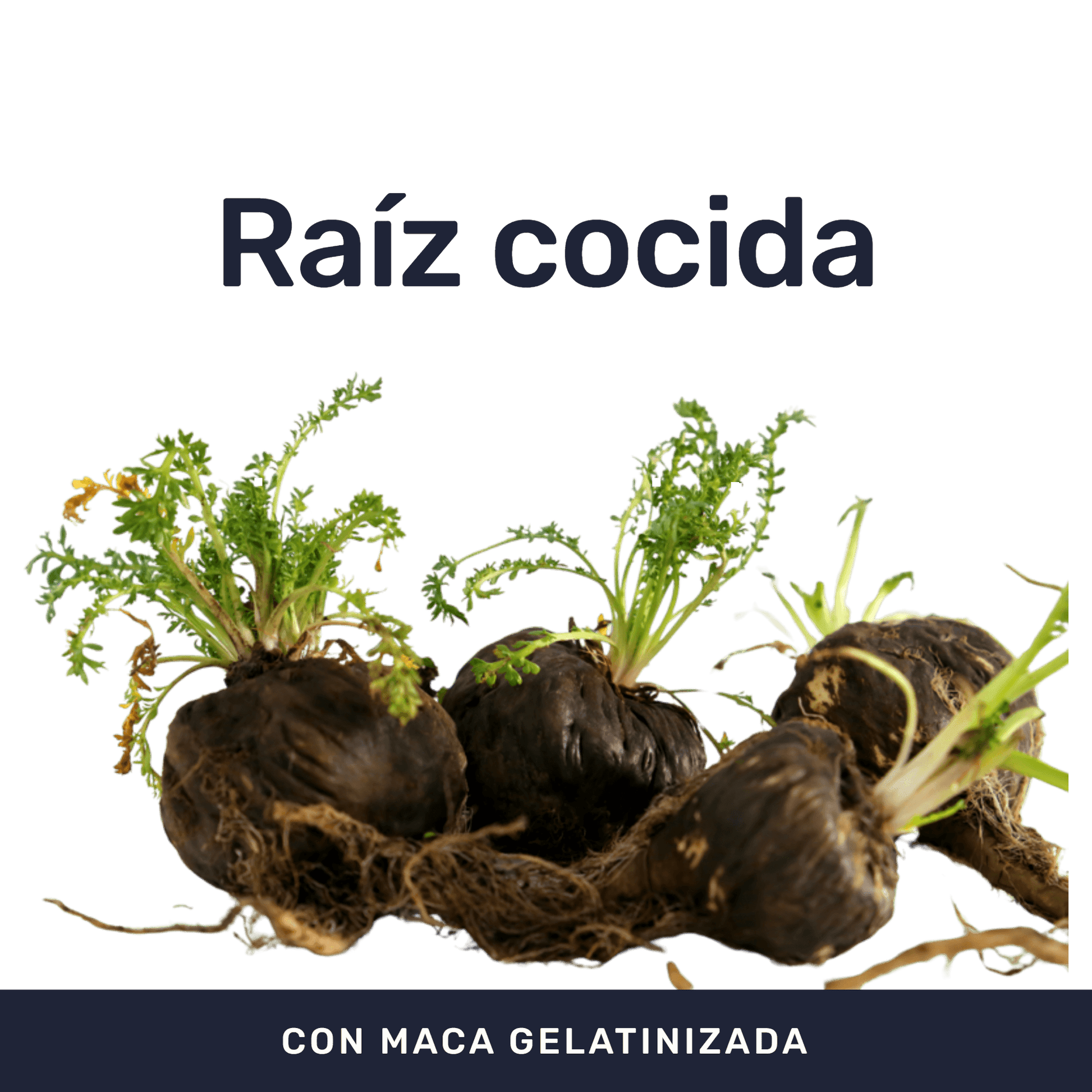 Maca Negra Gelatinizada 500 mg [60 Cápsulas] — imagen 2