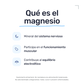 MagneZen — imagen 3