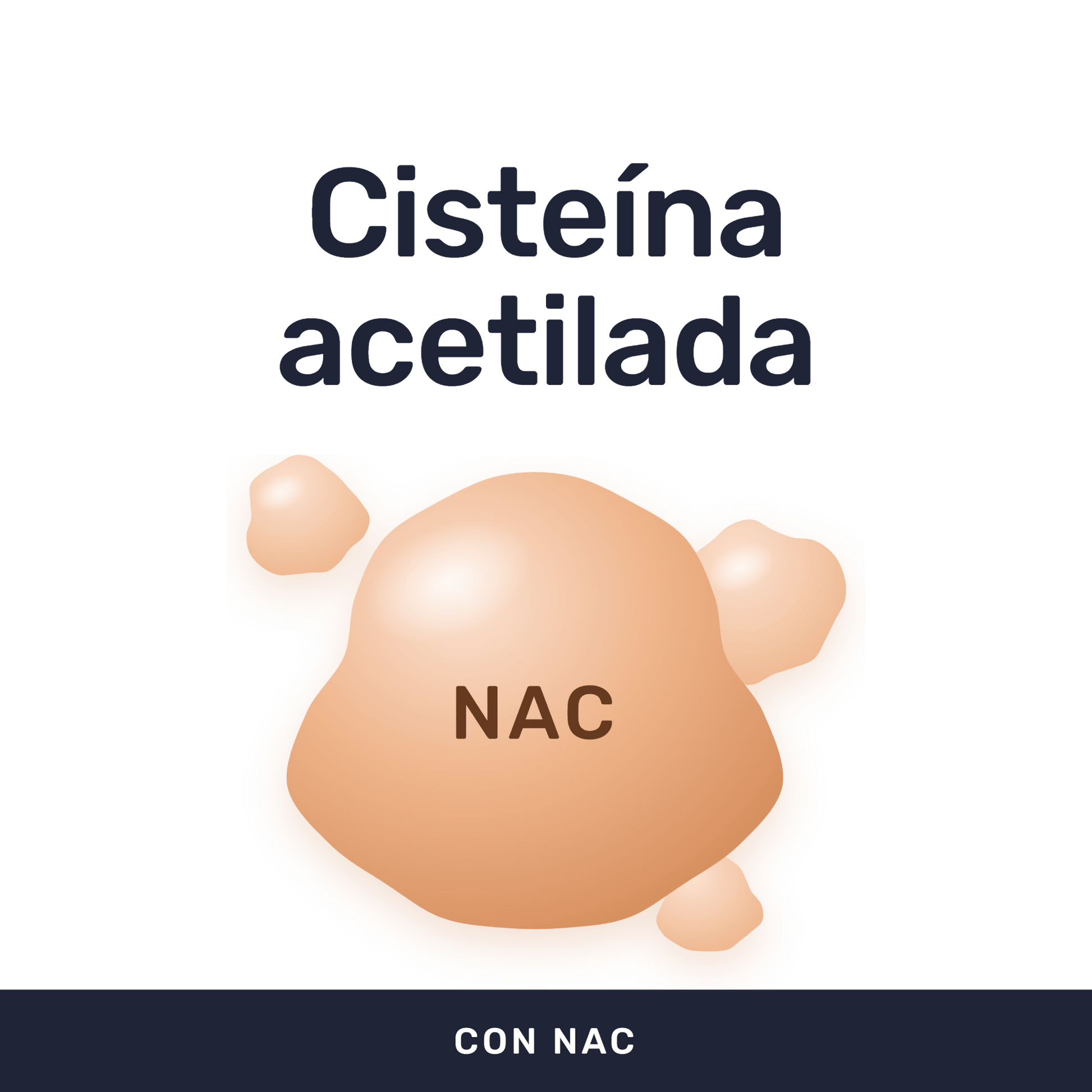 NAC [60 Cápsulas] — imagen 2