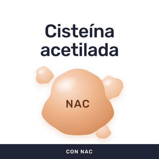 NAC [60 Cápsulas] — imagen 2