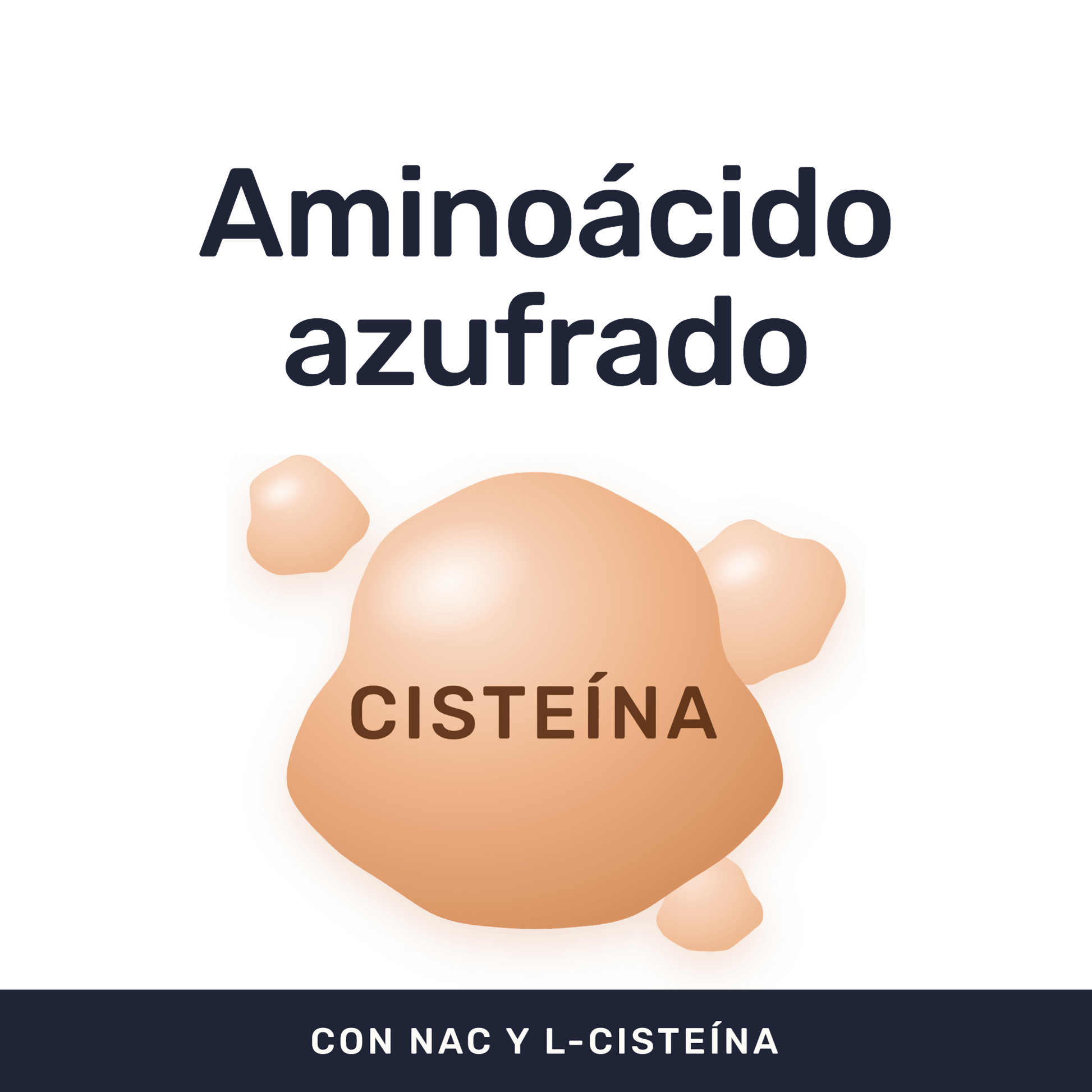 NAC L-Cisteína [100 Cápsulas] — imagen 2