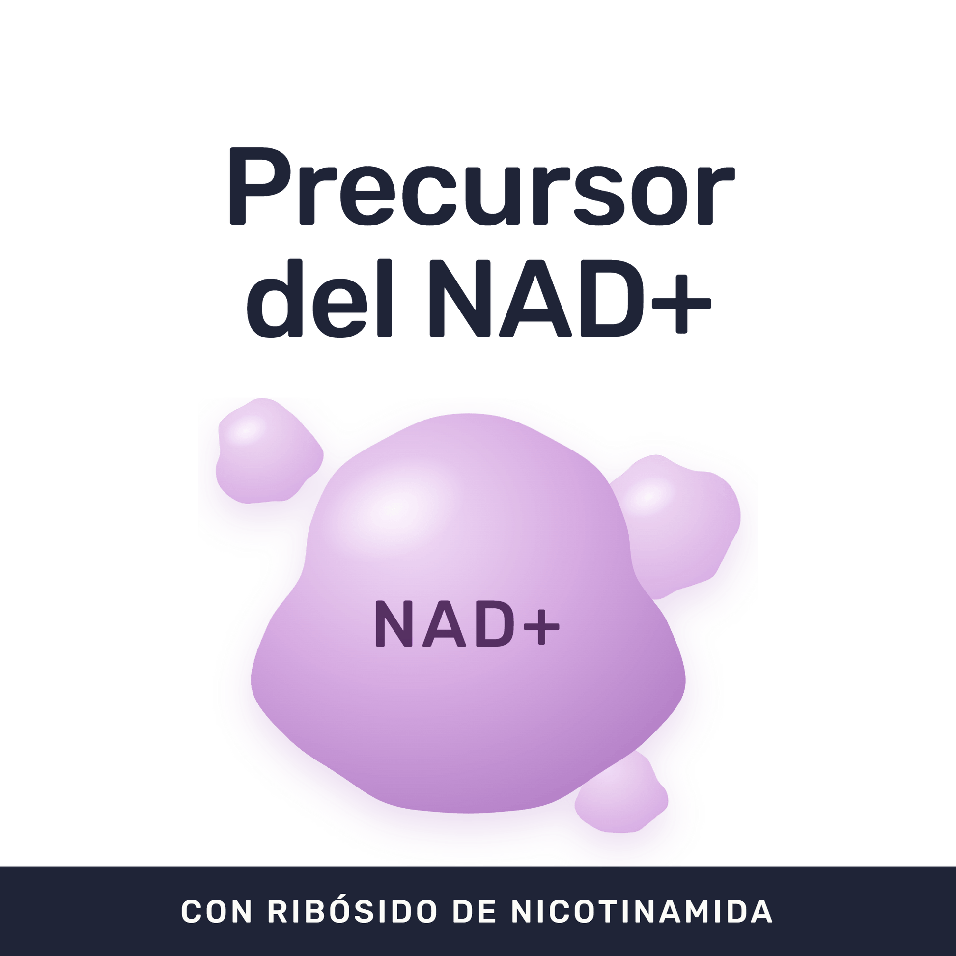 NAD+ [60 Cápsulas] — imagen 2