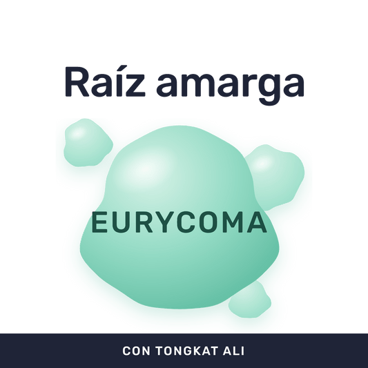 Tongkat Ali 500 mg [60 cápsulas] — imagen 2