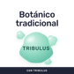 Tribulus [60 Cápsulas] — imagen 2