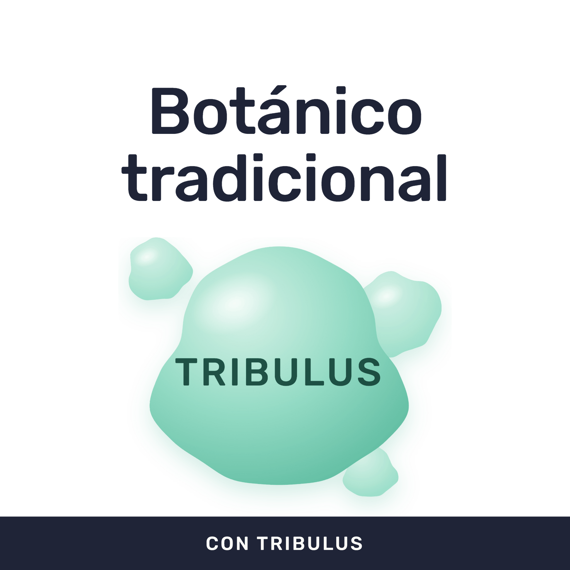 Tribulus [60 Cápsulas] — imagen 2