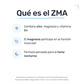 ZMA Advance [90 Cápsulas] — imagen 3